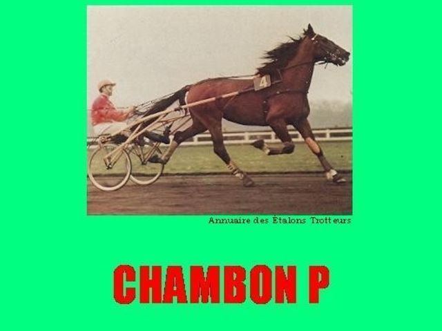 Chambon P